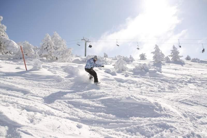 Ski&Nature Javalambre Camarena de la Sierra Bagian luar foto